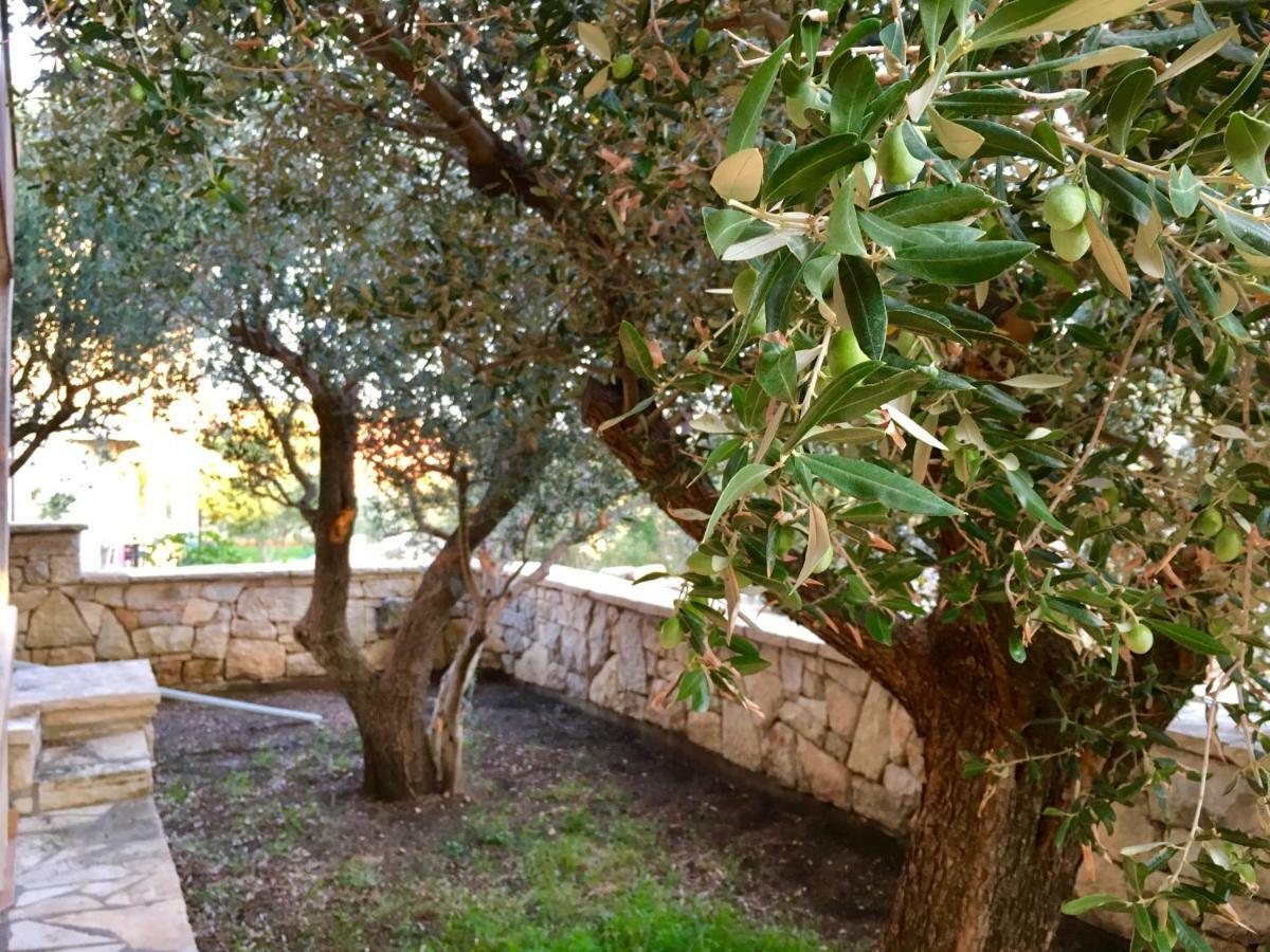 דירות מסלניקה Lavender House מראה חיצוני תמונה